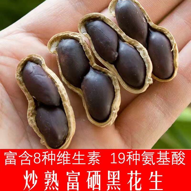 炒熟黑花生5斤熟花生原味炒花生富硒黑花生坚果炒货无香料