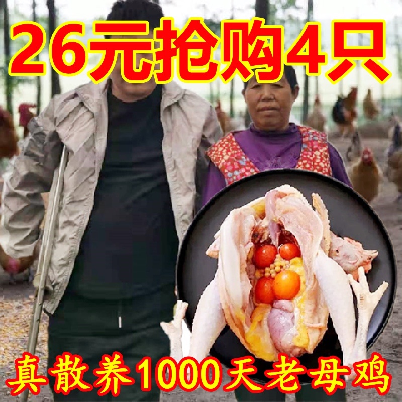 山林老母鸡白条鸡土鸡杀老母鸡3年土鸡散养农村农家鸡包邮