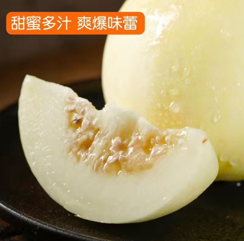星甜20甜瓜小蜜蜂甜瓜小蜜罐甜瓜香甜多汁产地直发量大优惠