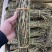 野生铁皮石斛，仿野生铁皮石斛鲜条、干条大量有货