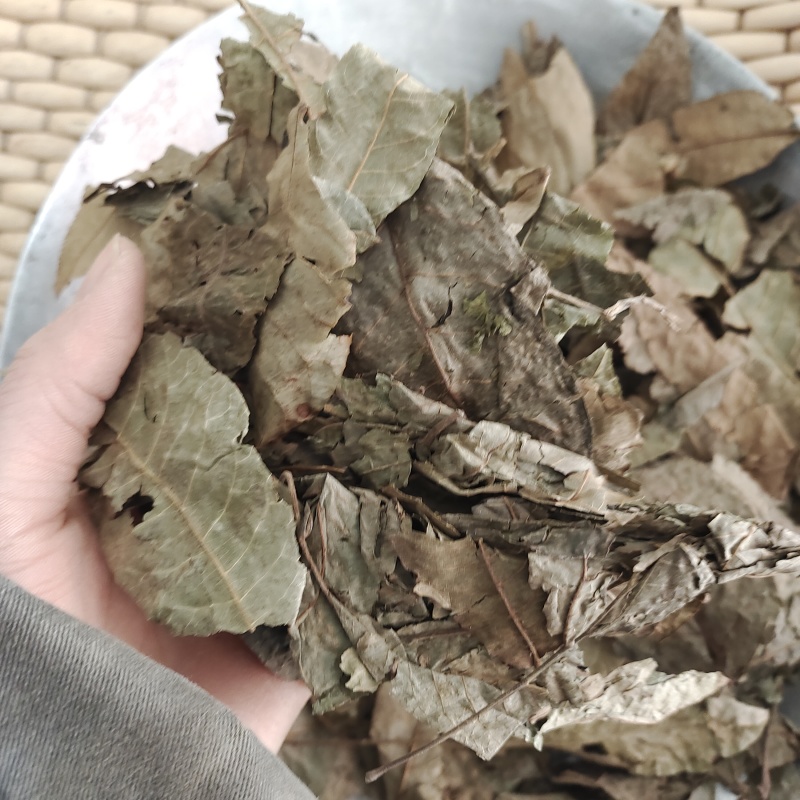 青钱柳，青钱柳叶无硫晒干货，一手货源保质保量，批发各种中