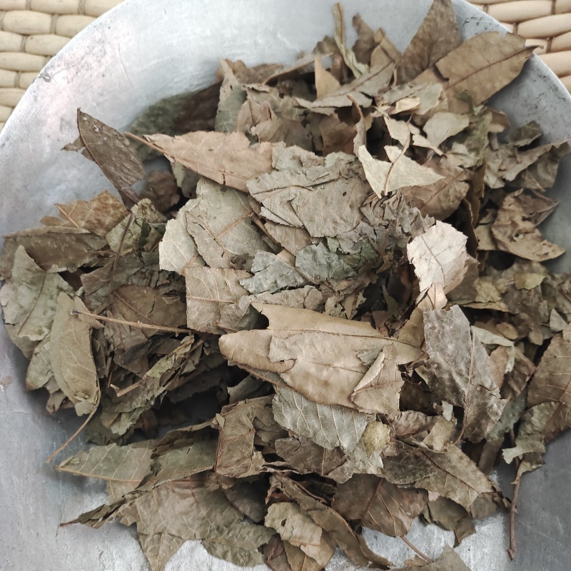 青钱柳，青钱柳叶无硫晒干货，一手货源保质保量，批发各种中