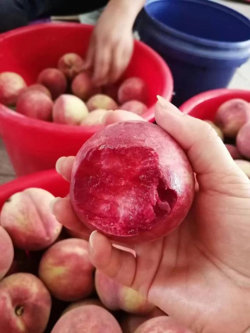 湖北毛桃突围小红桃口感脆甜多品种产地按需采摘包装发货