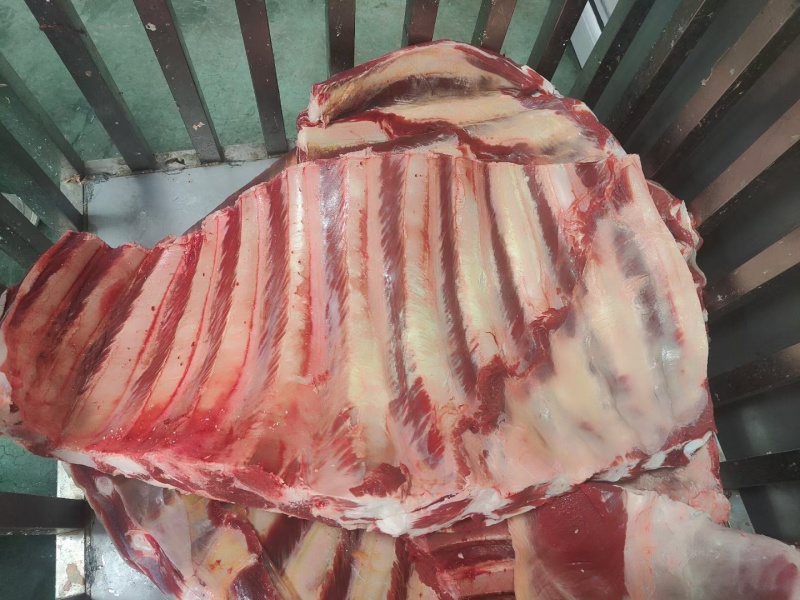 带肉肋排。清真屠宰厂厂家直营店！团购爆火！牛排火锅畅销品