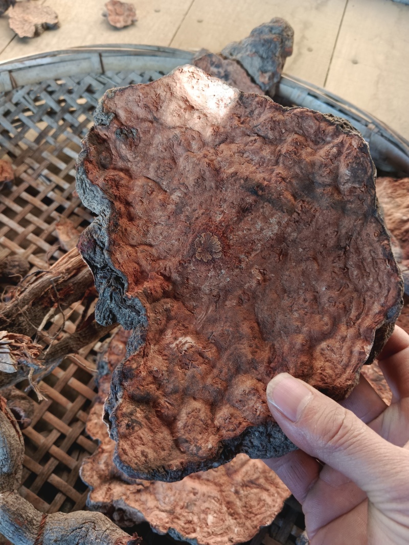 云南野生何首乌精品