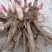 芍药牡丹花苗，牡丹城菏泽基地直发，品种齐全，现要现挖