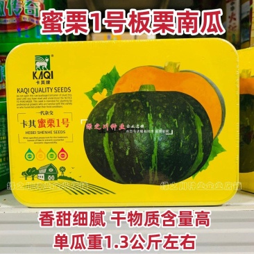 绿板栗南瓜种子蜜栗南瓜种籽春秋干面甜糯香甜栗小南瓜种子