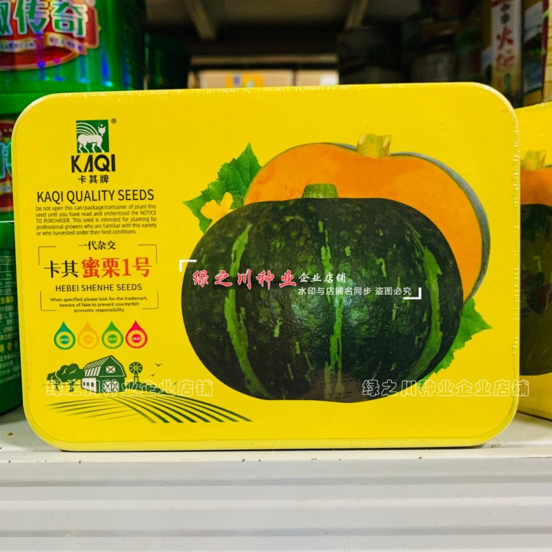 绿板栗南瓜种子蜜栗南瓜种籽春秋干面甜糯香甜栗小南瓜种子
