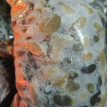 带血丝花鸡腰子，鲜冻货，颗粒一手货源批发，定做详谈