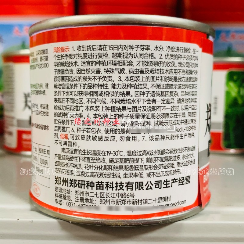 郑靓5号菜用南瓜种子早熟长圆条形南瓜春秋七叶早花皮菜南瓜