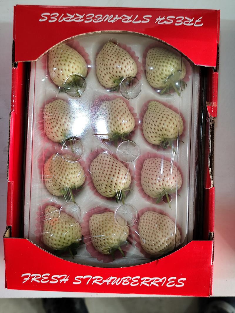 山东青岛平度大量供应白草莓，淡雪草莓新鲜供货超市市场档口