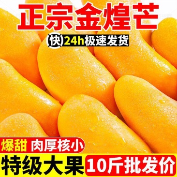 热带水果金煌芒新鲜当季水果水仙芒现摘非大青芒一件代发