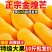 热带水果金煌芒新鲜当季水果水仙芒现摘非大青芒一件代发