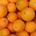 湖南血橙品质保证诚信经营欢迎联系接商超市场电商