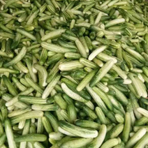 广西产地直发精品燕白黄瓜大量上市中一手货源价格优惠
