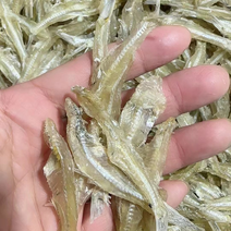 渔家人自晒自产自销大量天然淡盐高品质白帆鱼干可批发可零售