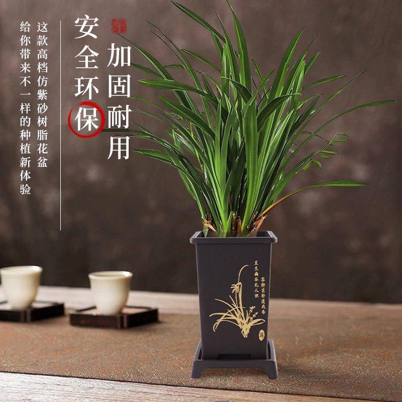 河北廊坊文安县自家工厂直发兰花盆花盆种类齐全可致电咨询
