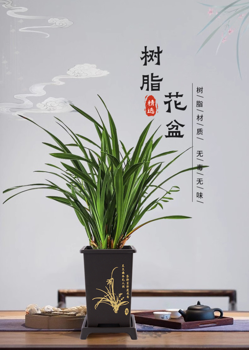 河北廊坊文安县自家工厂直发兰花盆花盆种类齐全可致电咨询