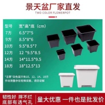 黑色多肉花盆景天小方盆单头老桩景天盆小方花盆加厚大白方多