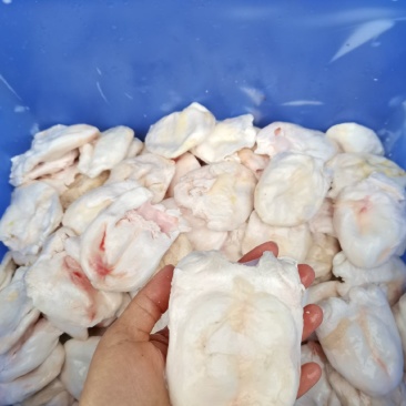 新鲜江团鱼泡鮰鱼泡一手货源品质保障价格优惠欢迎咨询