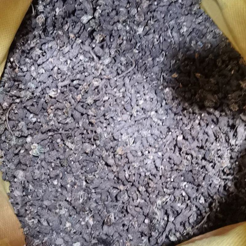 野生天葵子（俗称老鼠子屎），自然晒干筛选干净