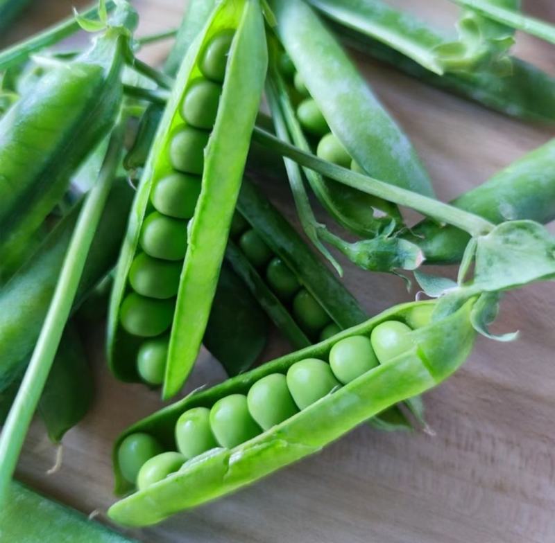 中豌九号豌豆荚长寿仁豌豆角双十一豌豆尖甜豌豆嫩青豌豆米粒