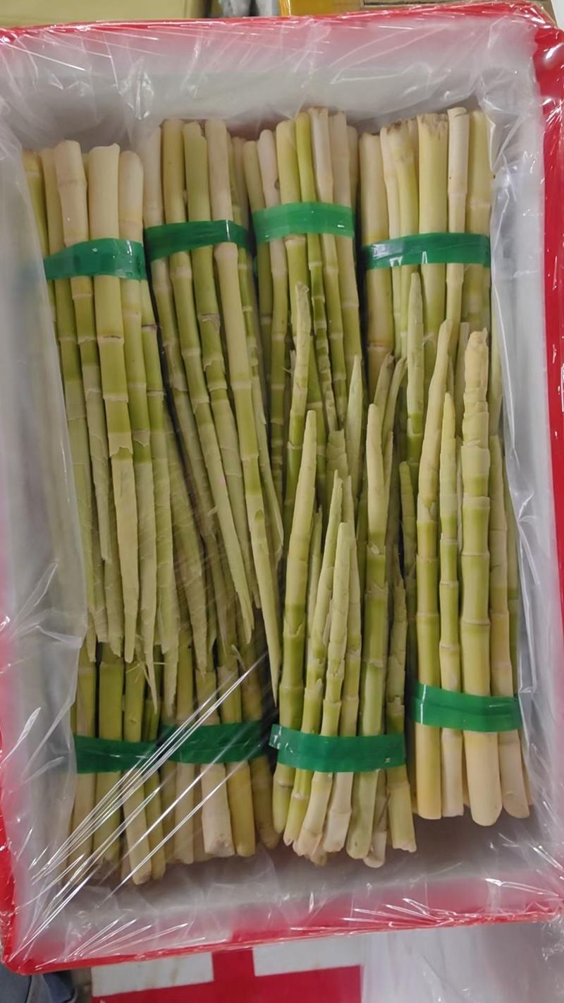 新鲜小竹笋。