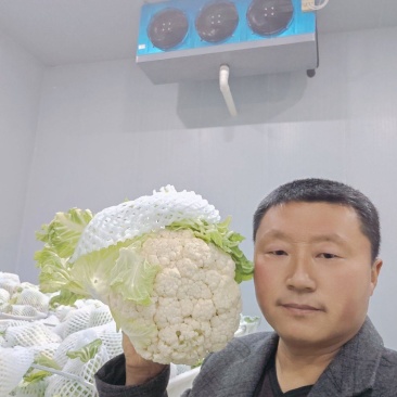 花菜，实花，有机花，松花，西兰花，产地直发