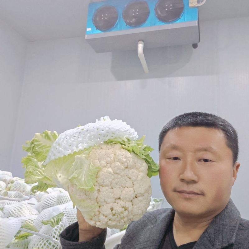 花菜，实花，有机花，松花，西兰花，产地直发