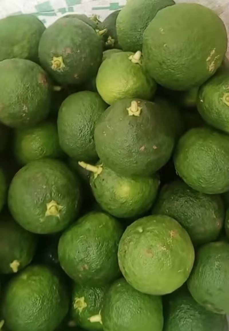 陕西汉中精品鲜香橼，品质好，个头均匀，