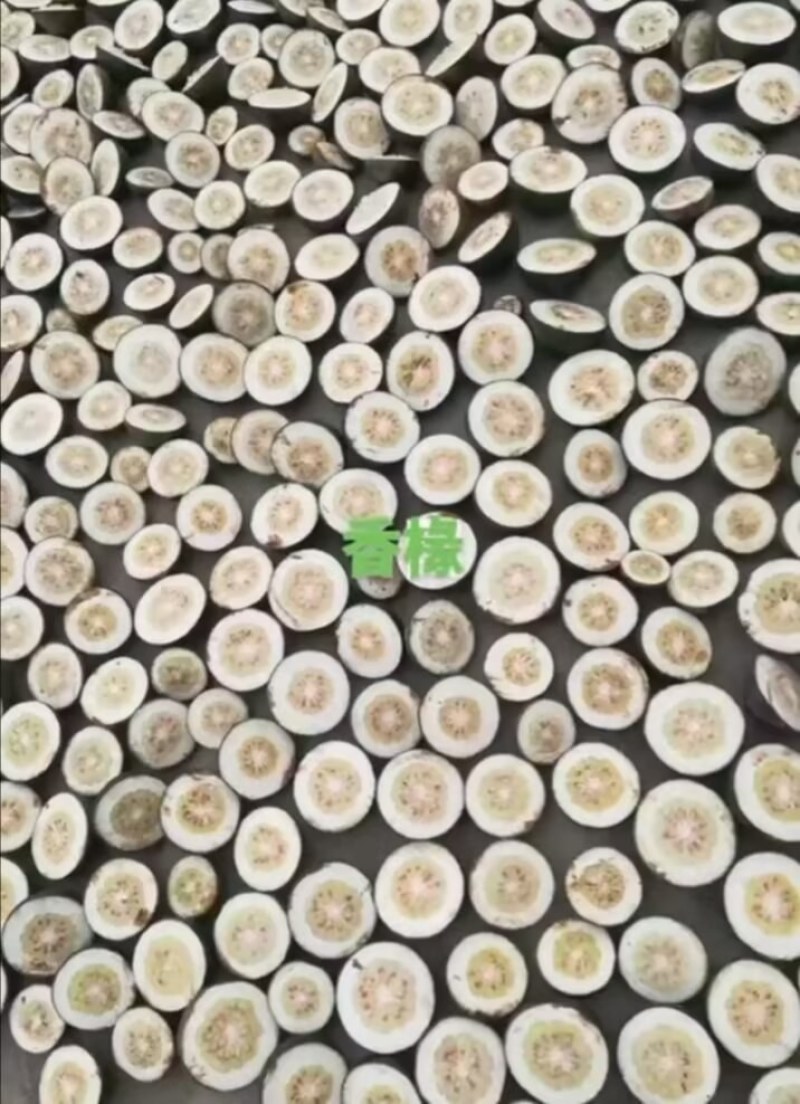 陕西汉中精品鲜香橼，品质好，个头均匀，