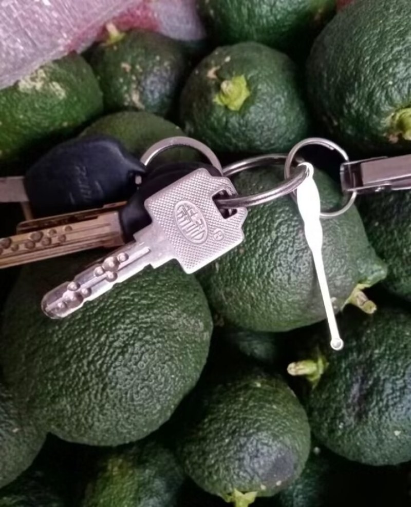 陕西汉中精品鲜香橼，品质好，个头均匀，