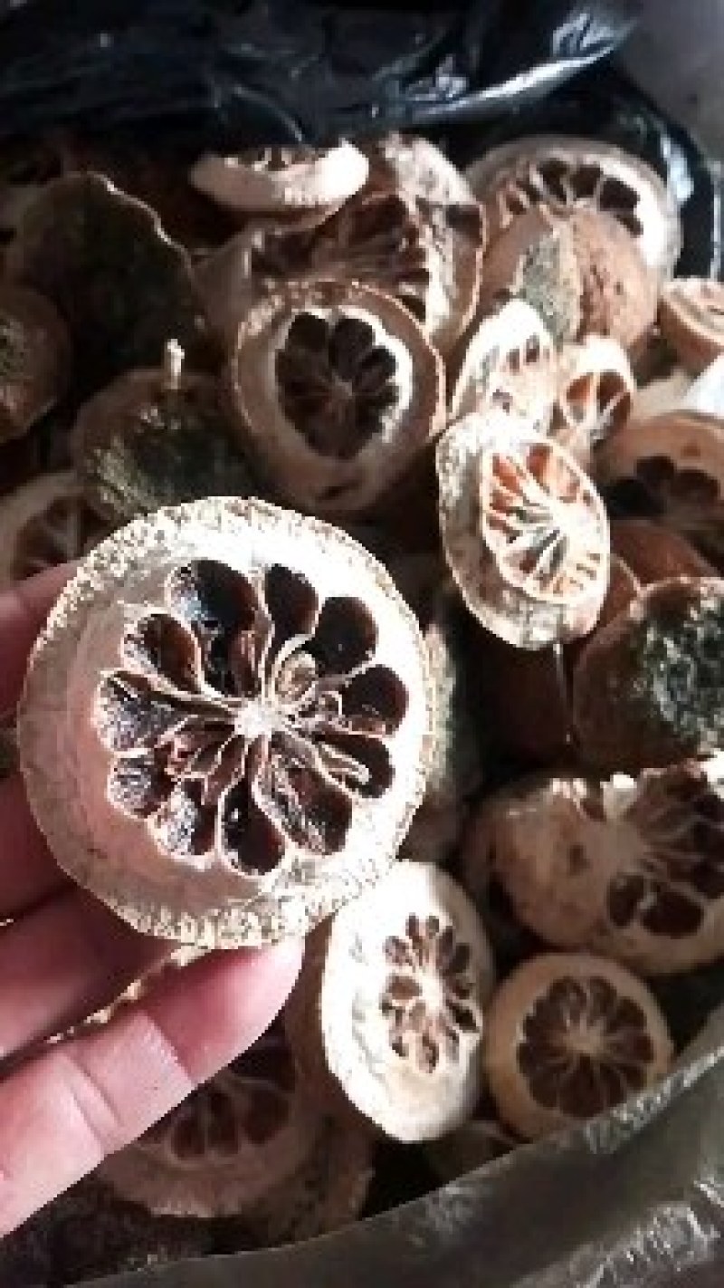 精品干香橼，机壳大量有货，