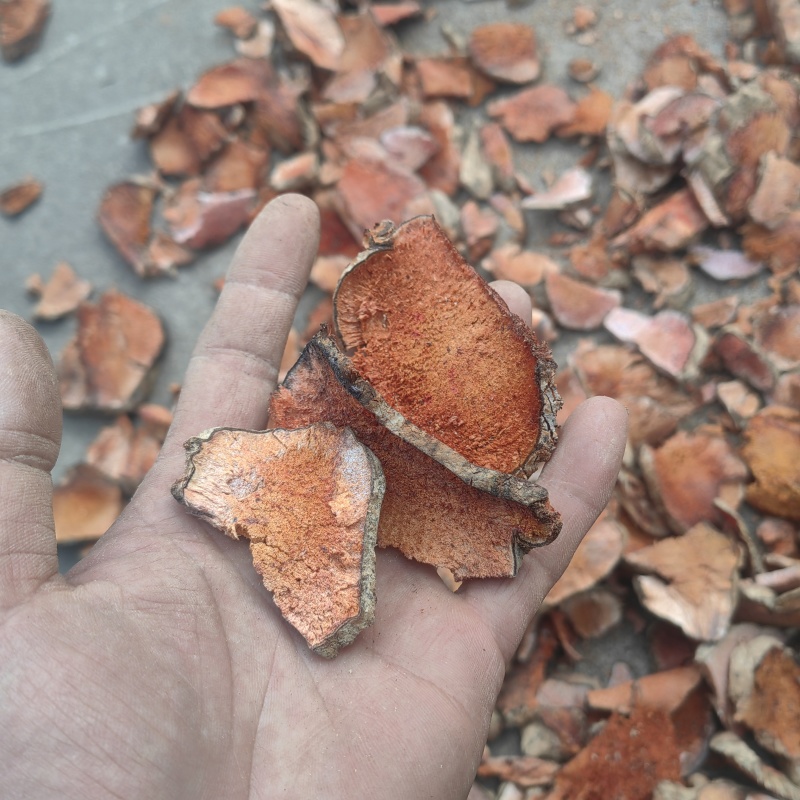 金刚藤片根中药材菝葜金刚刺金岗藤金刚头金刚头金钢刺
