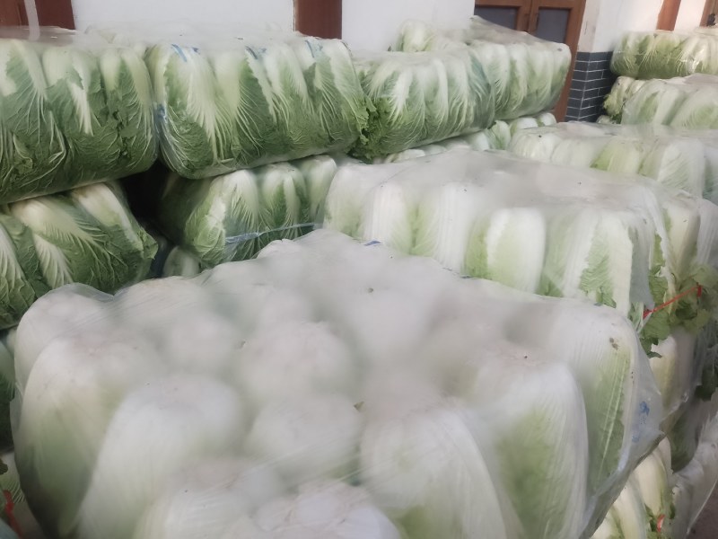 精品陕西汉中大白菜，黄心白心