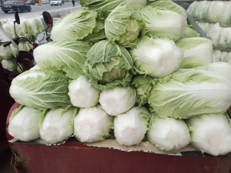 精品陕西汉中大白菜，黄心白心