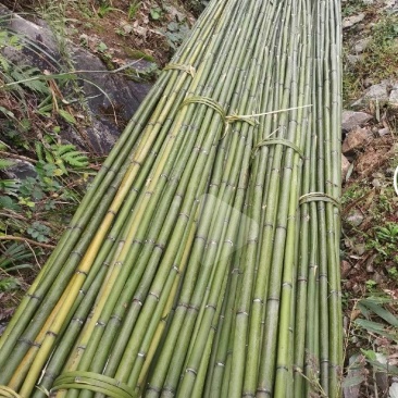 竹杆，架杆