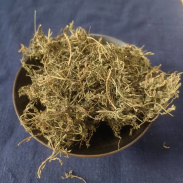 鹅不食中药材鹅不食鹅不食草实物拍摄放心购买鹅不食