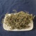 鹅不食中药材鹅不食鹅不食草实物拍摄放心购买鹅不食