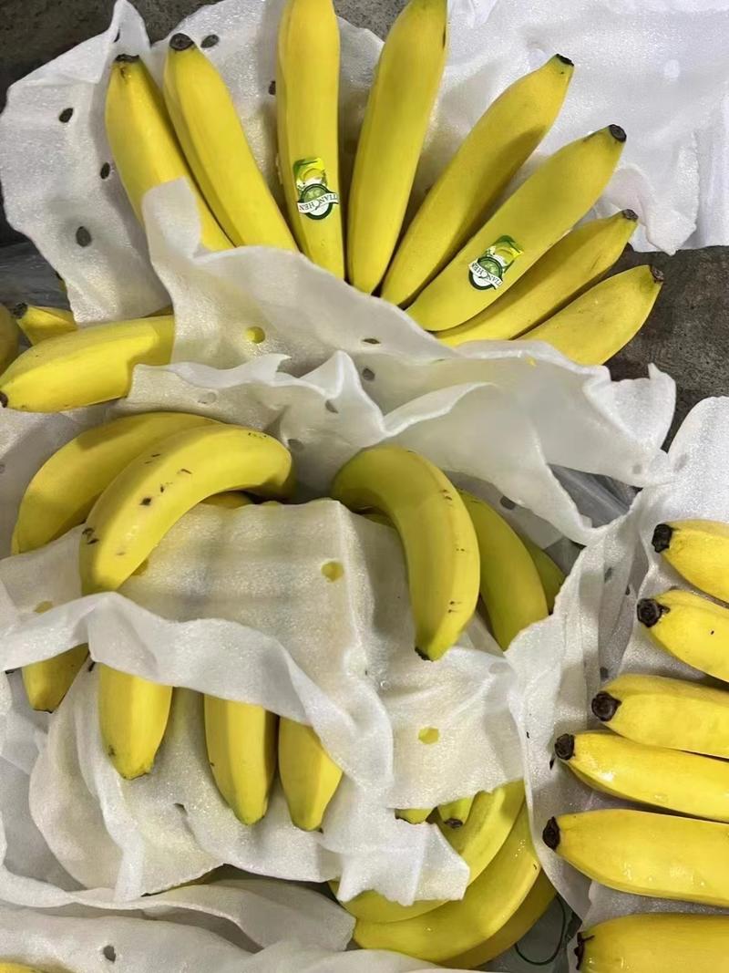 各种香蕉果蔬，，有需要的老板电话联系，欢迎采购