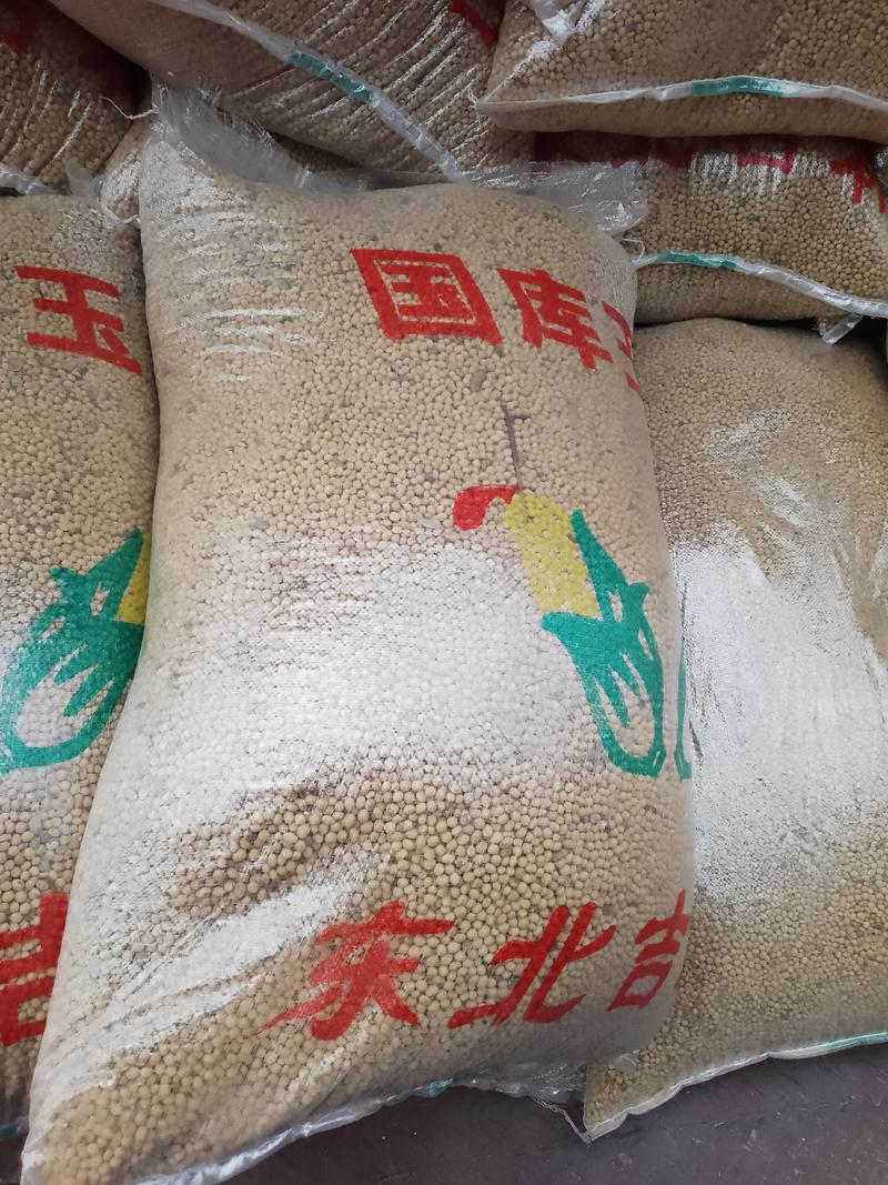 陕西汉中本地黄豆，大豆，专做豆腐，货量可以发正车
