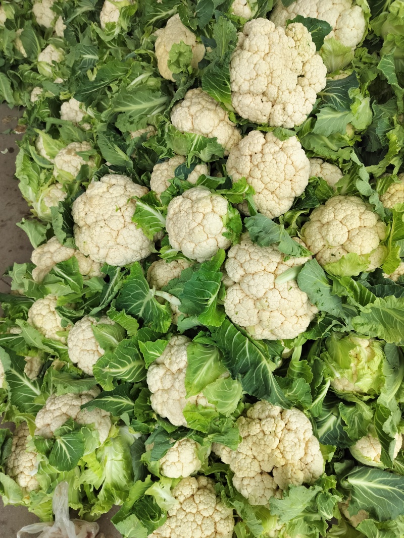 汉中白实花大量上市中，货源充足，质量保证，支持各种包装，