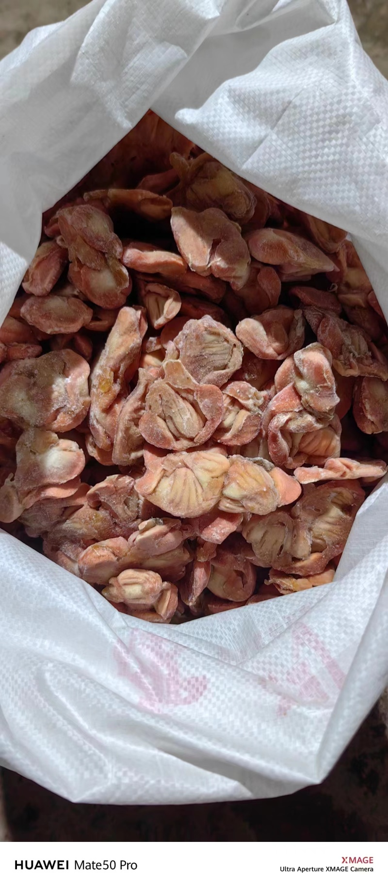 公鸡胗25克左右，有5吨