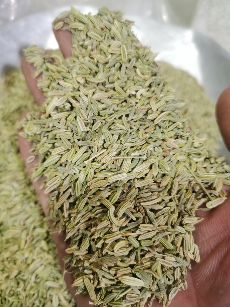 小茴香青色小茴香各种规格香料中药材