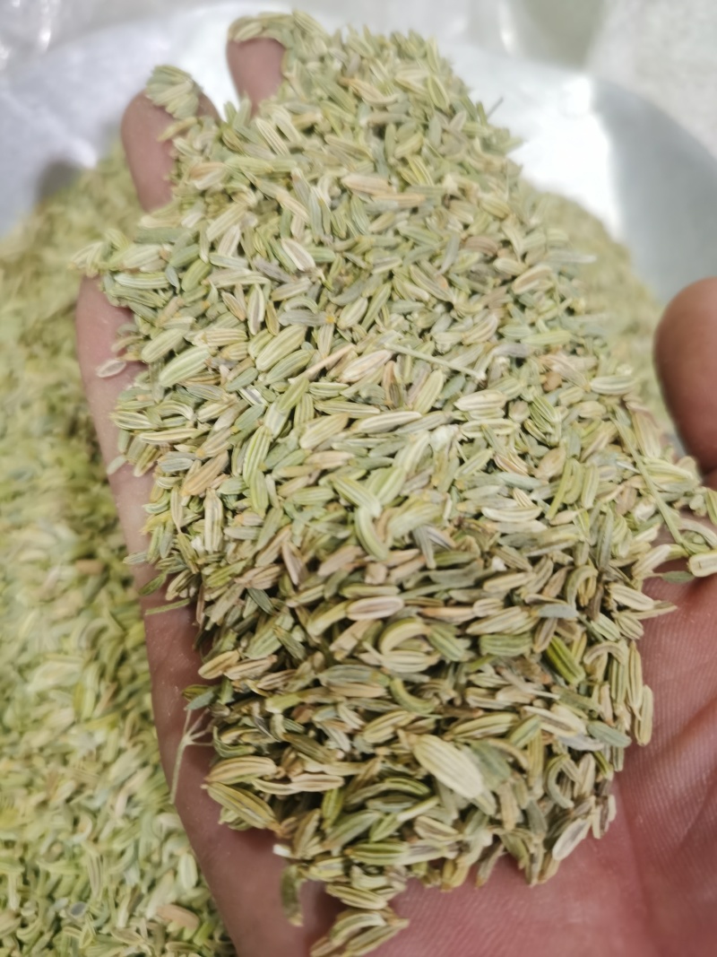 小茴香青色小茴香各种规格香料中药材