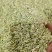 小茴香青色小茴香各种规格香料中药材