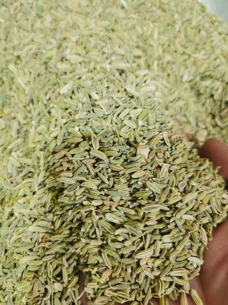 小茴香青色小茴香各种规格香料中药材