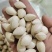 银杏果各种香料中药材批发零售