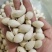 银杏果各种香料中药材批发零售