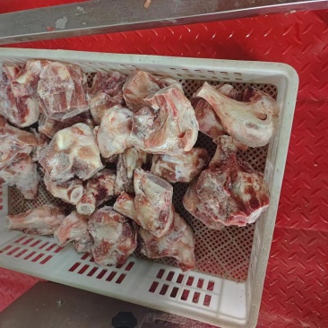 猪棒骨，大骨头，酱大骨原料